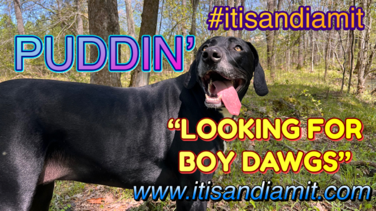 I AM iT dot HOST looking for BOY DAWGS to share