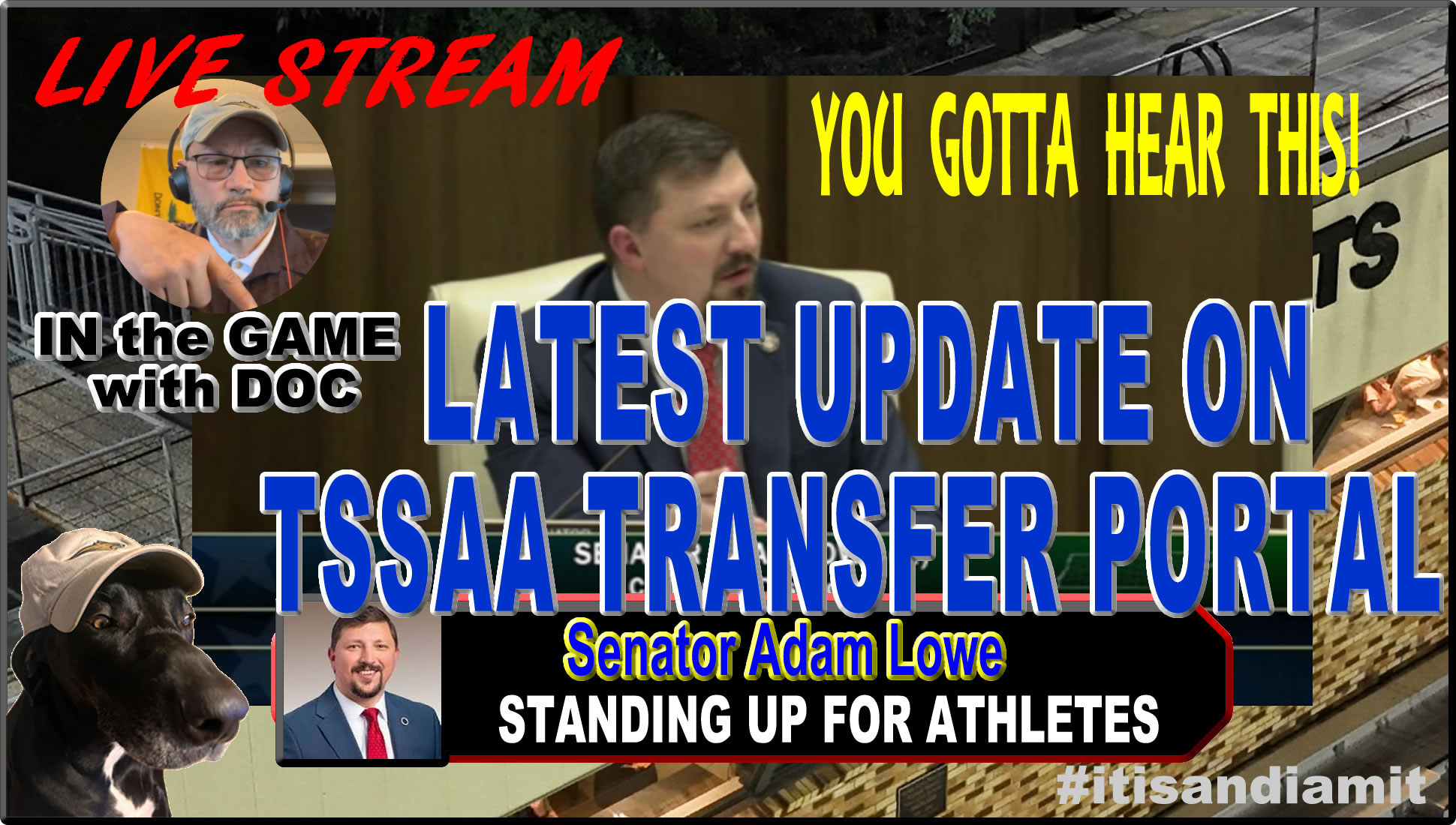 LIVESTREAM Transfer Portal is now in the Tennessee Senate, and DOC shares the latest news.